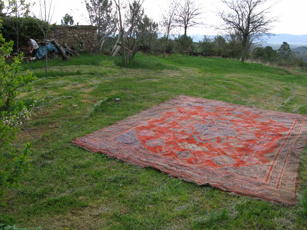 famille-dupont-a-rousselonge-avec-monique-dansant-sur-le-tapis